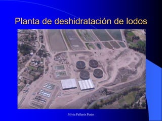Planta de deshidratación de lodos




             Silvia Pallarés Perán
 