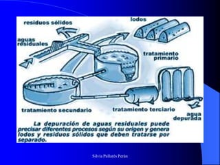 Silvia Pallarés Perán
 