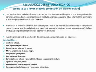 RESULTADOS DEL ESTUDIO TÉCNICO
(como se va a llevar a cabo la producción del bien o servicio)
 Una vez instalada toda la infraestructura en los corrales construidos para la cría y engorde de los
porcinos, utilizando el apoyo técnico del instituto colombiano agrario (ICA) y la UMATA, se iniciara
el proceso productivo con la raza Landrace.
 Al arrancar el proyecto tenemos que contemplar 3 meses de improductividad que es el tiempo que
trascurre desde que llega el pie de cría hasta que alcanza la madures sexual (apareamiento); la fase
productiva empieza al momento de aparear los animales.
 Nuestra premisa será la producción de ejemplares que cumplan con las siguientes
características :
 Excelente calidad.
 Bajo espesor de grasa dorsal.
 Buena relación músculo Vs hueso.
 Mayor rendimiento de carne magra.
 Alto porcentaje de jamón.
 Bajo contenido de grasas.
 Carne de buena calidad y aceptabilidad debido a su excelente textura.
 jugosidad color, olor, sabor.
 Menor perdida en el proceso de cocción.
 Buena ganancia diaria de peso y conversión alimenticia.
 