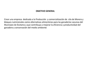OBJETIVO GENERAL

Crear una empresa dedicada a la Producción y comercialización de silo de Morera y
bloques nutricionales como alternativas alimenticias para las ganaderías vacunas del
Municipio de Duitama y que contribuya a mejorar la eficiencia y productividad del
ganadero y conservación del medio ambiente

 