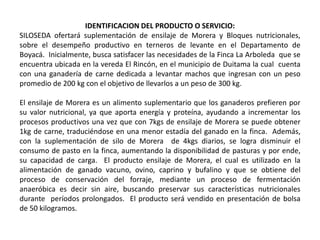 IDENTIFICACION DEL PRODUCTO O SERVICIO:
SILOSEDA ofertará suplementación de ensilaje de Morera y Bloques nutricionales,
sobre el desempeño productivo en terneros de levante en el Departamento de
Boyacá. Inicialmente, busca satisfacer las necesidades de la Finca La Arboleda que se
encuentra ubicada en la vereda El Rincón, en el municipio de Duitama la cual cuenta
con una ganadería de carne dedicada a levantar machos que ingresan con un peso
promedio de 200 kg con el objetivo de llevarlos a un peso de 300 kg.
El ensilaje de Morera es un alimento suplementario que los ganaderos prefieren por
su valor nutricional, ya que aporta energía y proteína, ayudando a incrementar los
procesos productivos una vez que con 7kgs de ensilaje de Morera se puede obtener
1kg de carne, traduciéndose en una menor estadía del ganado en la finca. Además,
con la suplementación de silo de Morera de 4kgs diarios, se logra disminuir el
consumo de pasto en la finca, aumentando la disponibilidad de pasturas y por ende,
su capacidad de carga. El producto ensilaje de Morera, el cual es utilizado en la
alimentación de ganado vacuno, ovino, caprino y bufalino y que se obtiene del
proceso de conservación del forraje, mediante un proceso de fermentación
anaeróbica es decir sin aire, buscando preservar sus características nutricionales
durante períodos prolongados. El producto será vendido en presentación de bolsa
de 50 kilogramos.

 