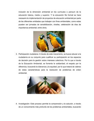 inclusión de la dimensión ambiental en los currículos o pensum de la
educación básica, media y superior. Y la educación No formal se hace
necesario la implementación de proyectos de educación ambiental por parte
de las diferentes entidades que trabajen con fines ambientales, como estas
pueden ser jornadas de sensibilización, charlas, celebración de días de
importancia ambiental, entre otros.
3. Participación ciudadana: A través de este mecanismo, se busca educar a la
ciudadanía en su conjunto para cualificar su participación en los espacios
de decisión para la gestión sobre intereses colectivos. Por lo que a través
de la Educación Ambiental, se fomenta la solidaridad, el respeto por la
diferencia, buscando la tolerancia y la equidad, por lo que tratará de valerse
de estas características para la resolución de problemas de orden
ambiental.
4. Investigación: Este proceso permite la comprensión y la solución, a través
de un conocimiento más profundo de los problemas ambientales, buscando
 