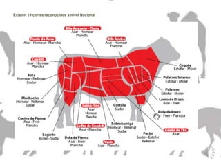 Existen 19 cortes reconocidos a nivel Nacional 
 