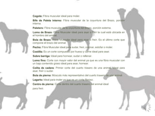 Cogote: Fibra muscular ideal para moler. 
Bife de Paleta interno: Fibra muscular de la coyuntura del Brazo, porción 
interna. 
Paletero: Fibra muscular de la coyuntura del Brazo, porción externa. 
Lomo de Brazo: Fibra Muscular ideal para asar o freír la cual está ubicada en 
el hombro del animal. 
Bola de Brazo: Fibra Muscular ideal para asar o freír. Es el último corte que 
compone el brazo del animal. 
Pecho: Fibra Muscular ideal para sudar, freír, cocinar, estofar o moler. 
Costilla: Es un corte compuesto por hueso y carne ideal para asar. 
Sobre barriga: Ideal para hornear, sudar o rellenar. 
Lomo fino: Corte con mayor valor del animal ya que es una fibra muscular con 
un bajo contenido graso ideal para asar, hornear. 
Colita de cadera: Primer corte del cuarto trasero de una animal. Ideal para 
asar, freír o sudar. 
Bola de pierna: Músculo más representativo del cuarto trasero de una animal. 
Lagarto: Ideal para moler ya que es un corte fibroso. 
Centro de pierna: Corte dentro del cuarto trasero del animal ideal 
para freír. 
 
