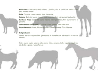 Muchacho: Corte del cuarto trasero. Ubicado junto al centro de pierna. Ideal 
para hornear o asar. 
Bota: Corte del cuarto trasero. Asar, freír sudar. 
Cadera: Corte del cuarto trasero. Ideal para asar, freír o preparara la plancha. 
Punta de Anca: Corte del cuarto trasero. Ideal para asar, freír o preparar a la 
plancha. 
Lomo Ancho (Churrasco): Corte del cuarto trasero. Ideal para asar. 
Lomo de Aguas: Corte del cuarto trasero. Ideal para asar, Freír, Hornear. 
Subproductos 
Dentro de los subproductos generados al momento de sacrificar a la res se 
venden: 
Piel o cuero crudo, Viseras tales como riñón, corazón, bofe, hígado, intestinos, 
etc. Cebo o grasa, Hueso Poroso 
 