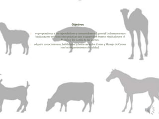 Objetivos 
es proporcionar a los expendedores y consumidores en general las herramientas 
básicas tanto teóricas como prácticas que le garanticen buenos resultados en el 
Manejo y los Cortes de las Carnes. 
adquirir conocimientos, habilidades y destrezas en los Cortes y Manejo de Carnes 
con los requerimientos de calidad. 
 