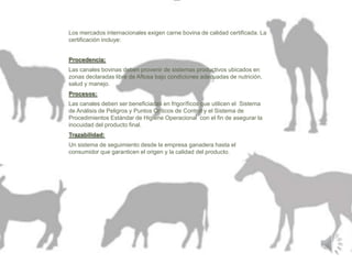 Los mercados internacionales exigen carne bovina de calidad certificada. La 
certificación incluye: 
Procedencia: 
Las canales bovinas deben provenir de sistemas productivos ubicados en 
zonas declaradas libre de Aftosa bajo condiciones adecuadas de nutrición, 
salud y manejo. 
Procesos: 
Las canales deben ser beneficiadas en frigoríficos que utilicen el Sistema 
de Análisis de Peligros y Puntos Críticos de Control y el Sistema de 
Procedimientos Estándar de Higiene Operacional con el fin de asegurar la 
inocuidad del producto final. 
Trazabilidad: 
Un sistema de seguimiento desde la empresa ganadera hasta el 
consumidor que garanticen el origen y la calidad del producto. 
 