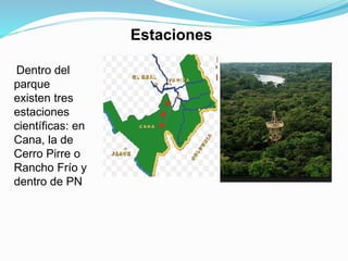 Estaciones
Dentro del
parque
existen tres
estaciones
científicas: en
Cana, la de
Cerro Pirre o
Rancho Frío y
dentro de PN
 