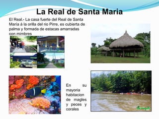 La Real de Santa Maria
El Real.- La casa fuerte del Real de Santa
María á la orilla del rio Pirre, es cubierta de
palma y formada de estacas amarradas
con mimbres
En su
mayoria
habitacion
de magles
y peces y
corales
 