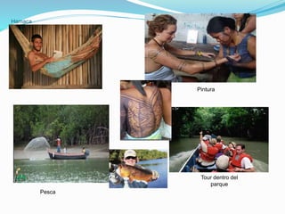 Hamaca
Pintura
Tour dentro del
parque
Pesca
 
