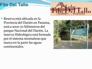Filo Del Tallo
 Reserva está ubicada en la
Provincia del Darién en Panama,
está a unos 70 kilómetros del
parque Nacional del Darién, La
reserva Hidrológica está formada
por el sistema montañoso que
marca en la parte las aguas
continentales.
 