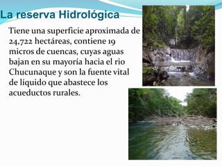 La reserva Hidrológica
Tiene una superficie aproximada de
24,722 hectáreas, contiene 19
micros de cuencas, cuyas aguas
bajan en su mayoría hacia el rio
Chucunaque y son la fuente vital
de líquido que abastece los
acueductos rurales.
 