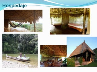 Hospedaje
 