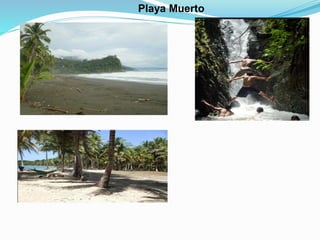 Playa Muerto
 