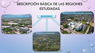 DESCRIPCIÓN BÁSICA DE LAS REGIONES
ESTUDIADAS
 