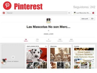 Pinterest Seguidores: 242
 