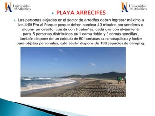  PLAYA ARRECIFES
 Las personas alojadas en el sector de arrecifes deben ingresar máximo a
las 4:00 Pm al Parque porque deben caminar 40 minutos por senderos o
alquilar un caballo. cuenta con 6 cabañas, cada una con alojamiento
para 5 personas distribuidas en 1 cama doble y 3 camas sencillas ,
también dispone de un módulo de 60 hamacas con mosquitero y locker
para objetos personales, este sector dispone de 100 espacios de camping.
 