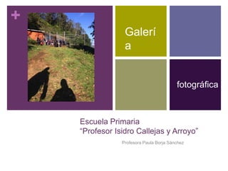 +
Escuela Primaria
“Profesor Isidro Callejas y Arroyo”
Profesora Paula Borja Sánchez
Galerí
a
fotográfica
 