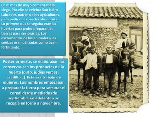 En el mes de mayo comenzaba la
siega. Por ello se celebra San Isidro
Labrador, patrón de los agricultores,
para pedir una cosecha abundante.
Lo primero que se segaba eran las
huertas para poder preparar las
tierras para sembrarlas. Los
excrementos de los animales y las
cenizas eran utilizadas como buen
fertilizante.
Posteriormente, se elaboraban las
conservas con los productos de la
huerta (pisto, judías verdes,
asadillo…). Este era trabajo de
mujeres. Los hombres empezaban
a preparar la tierra para sembrar el
cereal desde mediados de
septiembre en adelante y se
recogía en torno a noviembre.
 
