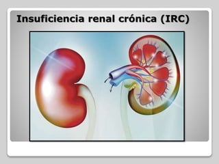 Insuficiencia renal crónica (IRC)
 
