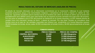 RESULTADOS DEL ESTUDIO DE MERCADO (ANÁLISIS DE PRECIO)
El estudio de mercado efectuado con la información suministrada por la Corporación Vallenpaz la cual mediante
proyectos productivos apoya a las comunidades indígenas y campesinos de la zona a mejorar su calidad de vida,
Arrojo los siguientes resultados para la siembra de las (2) hectárea del cultivo de tomate se estimo que la producción
probablemente seria 385000 pesos para cada familia esto es respectó al primer semestre de la ejecución del proyecto.
Por otra parte se estableció que el 70% del producto se distribuiría en la central mayorista y el 30% restante atreves de
canales como mini mercados, tiendas de barrio y plazas de mercado. Por otra parte También se consultaron otras
fuentes como es el caso de las centrales mayoristas que infirieron que anualmente a la Central Mayorista ingresan
38.000 toneladas de tomate, de las cuales 35.000 corresponden al tomate chonto y 38.000 aproximadamente al tomate
milano.
TOMATE CHONTO

ABASTOS
CENTRAL MAYORISTA
ALMAGRARIO
BANAGRO
VECOL S.A

PRECIO PUBLICO
$2.500
$2800
$2150
$1800

PRECIO DE COMPRA
$1.200/Kilogramo
$1500/kilogramo
$1350/Kilogramo
$1100/kilogramo

 