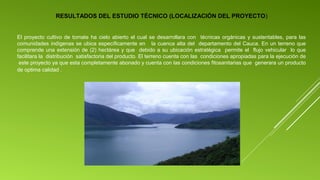 RESULTADOS DEL ESTUDIO TÉCNICO (LOCALIZACIÓN DEL PROYECTO)
El proyecto cultivo de tomate ha cielo abierto el cual se desarrollara con técnicas orgánicas y sustentables, para las
comunidades indígenas se ubica específicamente en la cuenca alta del departamento del Cauca. En un terreno que
comprende una extensión de (2) hectárea y que debido a su ubicación estratégica permite el flujo vehicular lo que
facilitara la distribución satisfactoria del producto. El terreno cuenta con las condiciones apropiadas para la ejecución de
este proyecto ya que esta completamente abonado y cuenta con las condiciones fitosanitarias que generara un producto
de optima calidad .

 