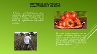 IDENTIFICACION DEL PRODUCTO
(CARACTERÍSTICAS O ATRIBUTOS)

El Tomate es un fruto con grandes valores
nutricionales y propiedades alimenticias. No
obstante el tomate, al igual que sus
congéneres silvestres, es una especie
diploide con (24) cromosomas en sus células
somáticas.

El tomate también caracteriza por sus
grandes propiedades calóricas. A si
mismo es una fuente de ciertos minerales
como el potasio y el magnesio. Las dos
características principales del tomate
para el consumo son el tomate al fresco
y el tomate procesado.

 