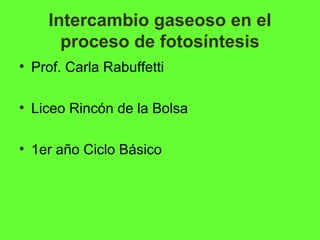 Intercambio gaseoso en el
      proceso de fotosíntesis
• Prof. Carla Rabuffetti

• Liceo Rincón de la Bolsa

• 1er año Ciclo Básico
 