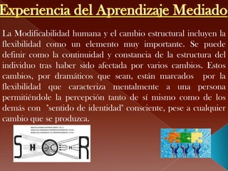 La Modificabilidad humana y el cambio estructural incluyen la
flexibilidad como un elemento muy importante. Se puede
definir como la continuidad y constancia de la estructura del
individuo tras haber sido afectada por varios cambios. Estos
cambios, por dramáticos que sean, están marcados por la
flexibilidad que caracteriza mentalmente a una persona
permitiéndole la percepción tanto de sí mismo como de los
demás con "sentido de identidad" consciente, pese a cualquier
cambio que se produzca.
 