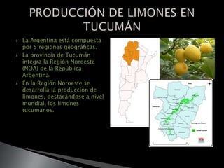  La Argentina está compuesta
por 5 regiones geográficas.
 La provincia de Tucumán
integra la Región Noroeste
(NOA) de la República
Argentina.
 En la Región Noroeste se
desarrolla la producción de
limones, destacándose a nivel
mundial, los limones
tucumanos.
 