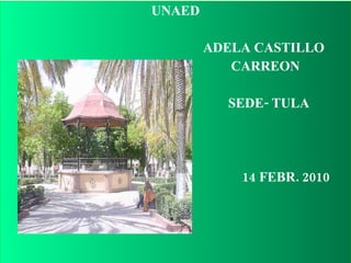 UNAED ADELA CASTILLO CARREON SEDE- TULA 14 FEBR. 2010