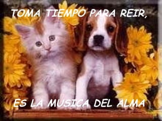 TOMA TIEMPO PARA REIR, ES LA MUSICA DEL ALMA