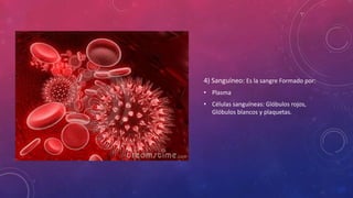 4) Sanguíneo: Es la sangre Formado por:
• Plasma
• Células sanguíneas: Glóbulos rojos,
Glóbulos blancos y plaquetas.
 
