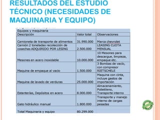RESULTADOS DEL ESTUDIO
TÉCNICO (NECESIDADES DE
MAQUINARIA Y EQUIPO)
 