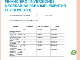 FINANCIERO (INVERSIONES
NECESARIAS PARA IMPLEMENTAR
EL PROYECTO)
 