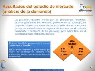 “Por la Calidad Educativa y la Equidad Social”
Resultados del estudio de mercado
(análisis de la demanda)
La población, muestra interés por las plantaciones forestales,
algunos pobladores han realizado plantaciones de eucalipto, sin
mayores criterios con pocas plantas en la orilla de sus terrenos de
cultivo, no pudiendo realizar mayores plantaciones por el costo de
producción y transporte de los plantones, pero sobre todo por el
desconocimiento del proceso técnico.
.
8730
habitant
es
63%
Área
urbana
47%
Área
rural
El número de unidades que comprarían al proyecto
(estimación de la demanda)
214.704 árboles protectores y frutales nativos que
mejoren las condiciones del ecosistema y la
producción de algunas frutas, generando economía
en el municipio
 