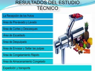 RESULTADOS DEL ESTUDIO
                 TÉCNICO
La Recepción de los frutos

Área de Pre-lavado y Lavado

Área de Cortes y Descasques

Área de Escaldado

Área de Despulpado

Área de Envasar y Sellar las pulpas

Área de Congelamiento Rápido

Área de Almacenamiento Congelado

Expedición y transporte
 