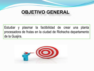 OBJETIVO GENERAL


Estudiar y plasmar la factibilidad de crear una planta
procesadora de frutas en la ciudad de Riohacha departamento
de la Guajira.
 