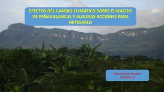 EFECTOS DEL CAMBIO CLIMÁTICO SOBRE El MACIZO
DE PEÑAS BLANCAS Y ALGUNAS ACCIONES PARA
MITIGARLO
Elías Ramírez Roustan
NICARAGUA
 