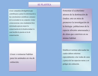 SE PLANTEA
Crear campañas divulgativas que
contribuyan a poner la información y
las conclusiones científicas a alcance
de la sociedad en su conjunto. Como
consecuencias, una ciudadanía bien
informada aprecia mejor la
conservación de la biodiversidad, lo
cual facilita la puesta en la de
conservación.
Crear o restaurar habitas
para los animales en vía de
extinción.
Fomentar el ecoturismo
atraves de la destinación de
fondos, esto en mira de
promover la investigación de
la biología poblaciones de la
especie silvestre amenazada y
de otras que conviven en su
mismo hábitat.
Establecer normas adecuadas las
cuales deben referirse
especialmente a las vedas de caza
y pesca de las especies raras y en
peligro de extinción.
 