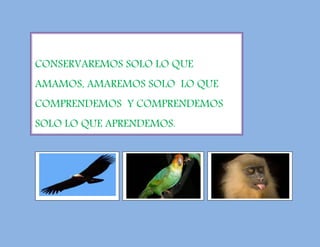 CONSERVAREMOS SOLO LO QUE
AMAMOS, AMAREMOS SOLO LO QUE
COMPRENDEMOS Y COMPRENDEMOS
SOLO LO QUE APRENDEMOS.
 