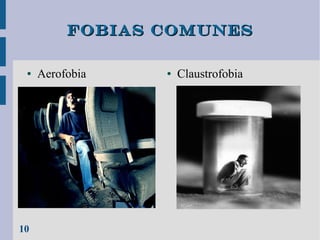 Fobias comunes
●

10

Aerofobia

●

Claustrofobia

 