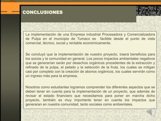 CONCLUSIONES
La implementación de una Empresa industrial Procesadora y Comercializadora
de Pulpa en el municipio de Tumaco es factible desde el punto de vista
comercial, técnico, social y rentable económicamente.
Se concluyó que la implementación de nuestro proyecto, traerá beneficios para
los socios y la comunidad en general. Los pocos impactos ambientales negativos
que se generarían serán por desechos orgánicos procedentes de la extracción y
refinado de la pulpa, el pelado y la selección de la fruta, los cuales se mitigan
casi por completo con la creación de abonos orgánicos, los cuales servirán como
un ingreso más para la empresa.
Nosotros como estudiantes logramos comprender los diferentes aspectos que se
deben tener en cuenta para la implementación de un proyecto, que además de
revisar el estado financiero que necesitamos para poner en marcha dicho
proyecto, también es muy importante tener en cuenta los impactos que
generaran en nuestra comunidad, tanto sociales como ambientales.
 
