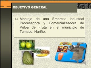 OBJETIVÓ GENERAL
 Montaje de una Empresa industrial
Procesadora y Comercializadora de
Pulpa de Fruta en el municipio de
Tumaco, Nariño.
 