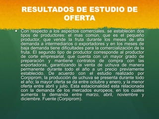 RESULTADOS DE ESTUDIO DE
OFERTA
 Con respecto a los aspectos comerciales, se establecen dos
tipos de productores: el mas común, que es el pequeño
productor, que vende la fruta durante los meses de alta
demanda a intermediarios o exportadores y en los meses de
baja demanda tiene dificultades para la comercialización de la
fruta. El segundo tipo de productor corresponde al productor
de corte empresarial, que cuenta con un mayor grado de
preparación y mantiene contratos de compra con las
exportadoras, garantizando la venta de uchuva de manera
permanente durante todo el año a un precio previamente
establecido. De acuerdo con el estudio realizado por
Corpiprom, la producción de uchuva se presenta durante todo
el año; la mayor oferta se da entre octubre y enero, y la menor
oferta entre abril y julio. Esta estacionalidad esta relacionada
con la demanda de los mercados europeos, en los cuales
aumenta la demanda entre marzo, abril, noviembre y
diciembre. Fuente (Corpiprom).
 