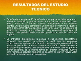 RESULTADOS DEL ESTUDIO
TECNICO
 Tamaño de la empresa: El tamaño de la empresa se determinara por
medio de inserción y promoción de la fruta al mercado objetivo dos
meses antes de la primera cosecha presentando a los posibles
clientes una propuesta comercial y una muestra de Uchuva al igual se
dará a conocer la oferta disponible de la fruta. Una vez se concrete el
pedido, la persona que realiza la visita comercial autorizara el
despacho del pedido desde la unidad productora hacia la ciudad de
Bogotá.
 Se entregara directamente la uchuva a sus clientes, contratando
camiones que realicen la entrega, al igual, que los contactos
comerciales se realizara directamente por un agente comercial de la
misma empresa. De la misma manera se atraerán clientes nuevos a
un producto ya existente pero ofreciéndole una mejor calidad, para su
mayor beneficio, de la misma forma se crearan productos nuevos
para mercados actuales adicional se pensara en dar un mayor valor
agregado al producto en un largo plazo.
 