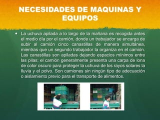 NECESIDADES DE MAQUINAS Y
EQUIPOS
 La uchuva apilada a lo largo de la mañana es recogida antes
el medio día por el camión, donde un trabajador se encarga de
subir al camión cinco canastillas de manera simultánea,
mientras que un segundo trabajador la organiza en el camión.
Las canastillas son apiladas dejando espacios mínimos entre
las pilas; el camión generalmente presenta una carpa de lona
de color oscuro para proteger la uchuva de los rayos solares la
lluvia y el polvo. Son camiones sin ningún tipo de adecuación
o aislamiento previo para el transporte de alimentos.
 