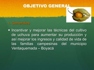 OBJETIVO GENERAL
1. Generales
 Incentivar y mejorar las técnicas del cultivo
de uchuva para aumentar su producción y
así mejorar los ingresos y calidad de vida de
las familias campesinas del municipio
Ventaquemada – Boyacá
 