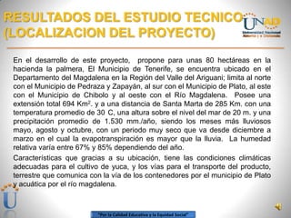 RESULTADOS DEL ESTUDIO TECNICO
(LOCALIZACION DEL PROYECTO)
 En el desarrollo de este proyecto, propone para unas 80 hectár...
