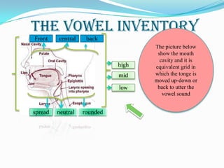 The vowel inventory
Front    central    back
                                    The picture below
                                     show the mouth
                                      cavity and it is
                             high   equivalent grid in
                             mid    which the tonge is
                                    moved up-down or
                             low     back to utter the
                                       vowel sound


spread   neutral   rounded
 